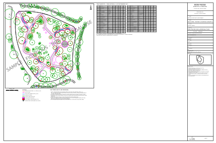 Sheet L-101 Tree protection & removals plan
