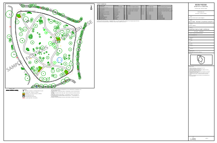 Sheet L-401 Planting plan & plant schedule